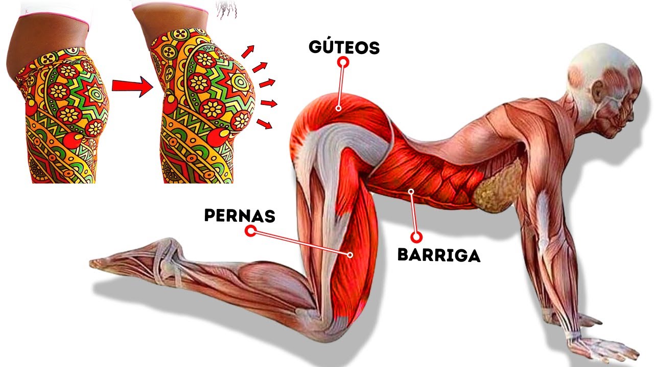 Musculosecorpodefinido Exerc Cios F Ceis Para Perder Barriga E